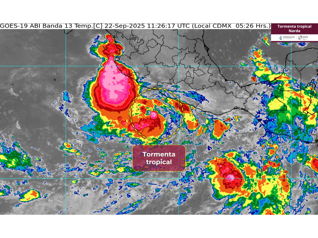 tormenta tropical narda