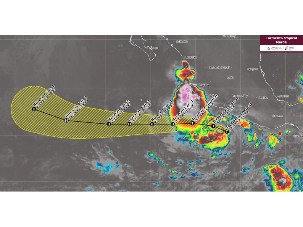 tormenta tropical narda
