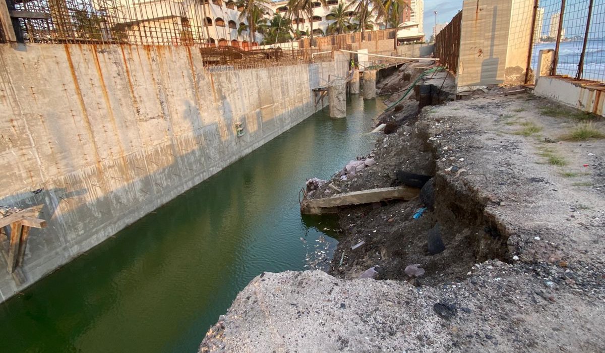 Tortuga rescatada en Mazatlán