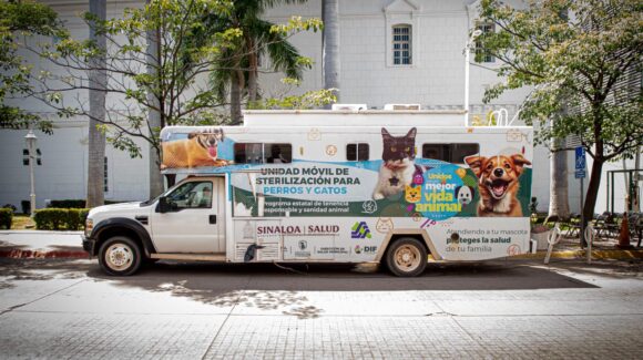 ¿Quieres esterilizar a tu mascota? Ayuntamiento de Culiacán arrancan campaña gratuita para perros o gatos