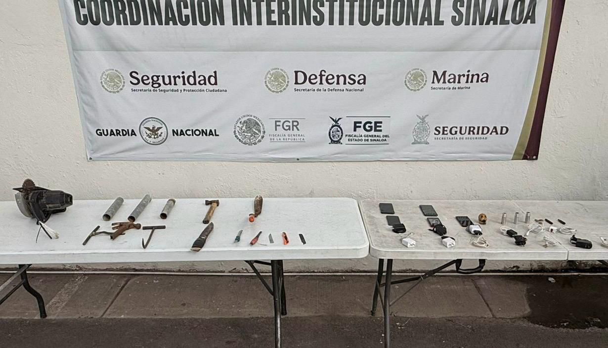 articulos encontrados tras la ultima revision a aguaruto