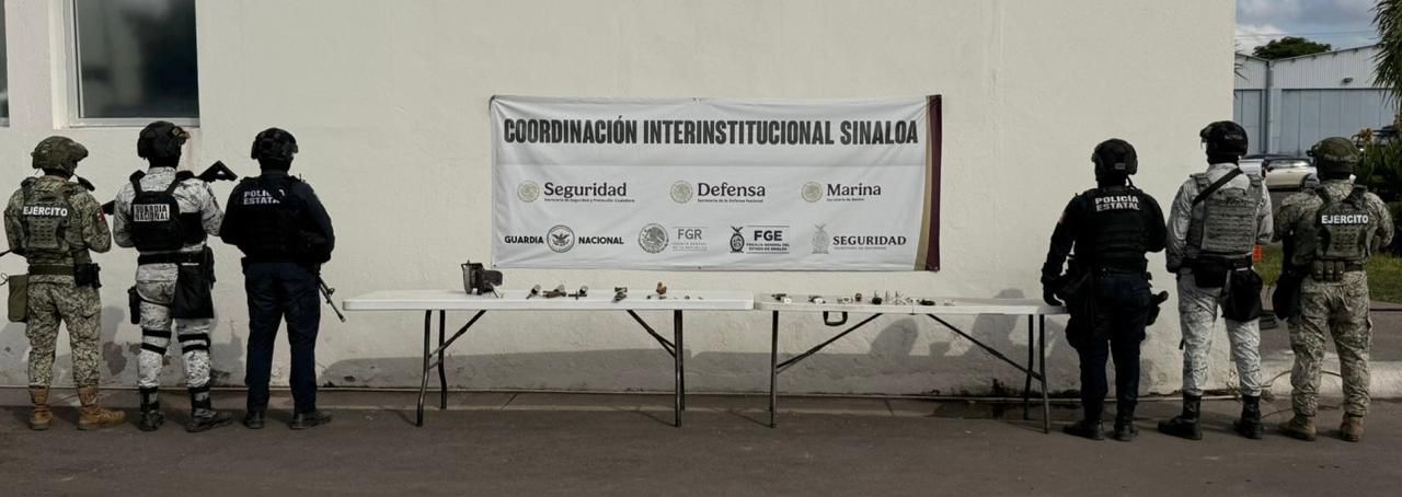 articulos encontrados tras la ultima revision a aguaruto