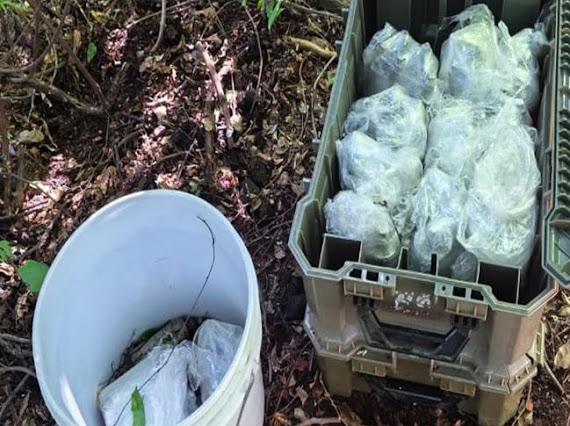 Asegura Ejército Mexicano 100 artefactos explosivos improvisados en Elota, Sinaloa