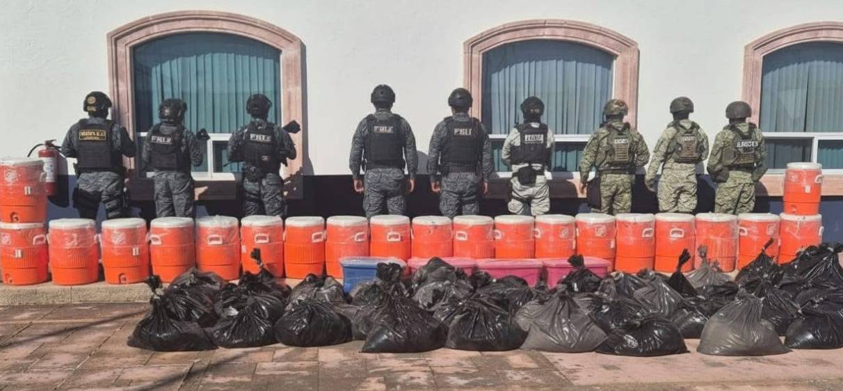 Desmantelan narcolaboratorio en Zacatecas