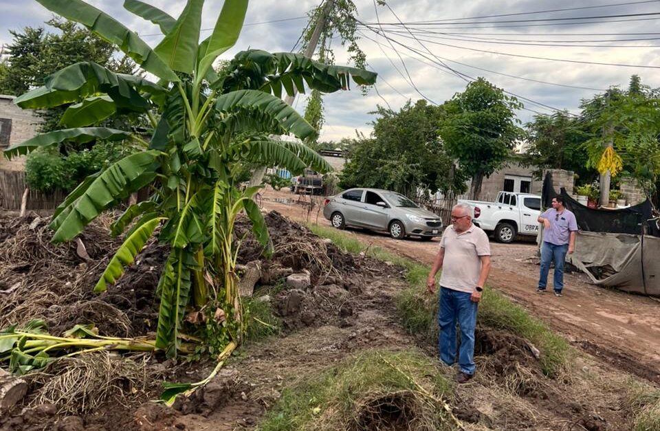 Detectan en Escuinapa, Sinaloa daños en dos comunidades tras recientes lluvias