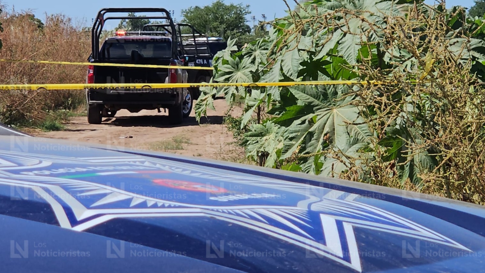 Encuentran a una persona ejecutada en Bellavista, Culiacán