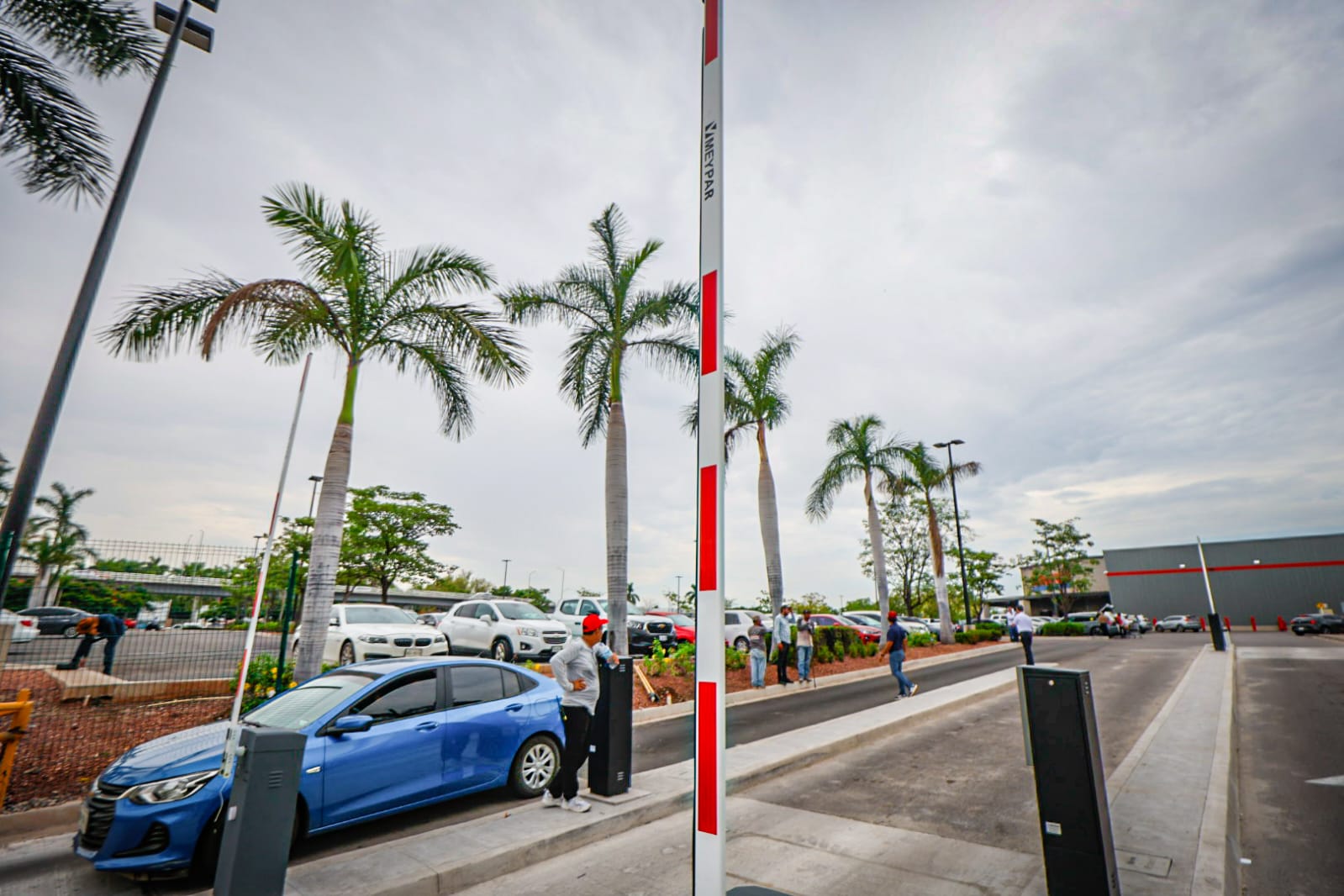Levantan plumas en Costco el primer dia por caos vial
