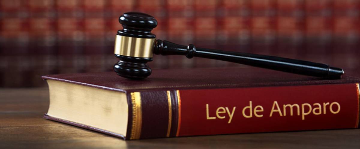 Ley de amparo