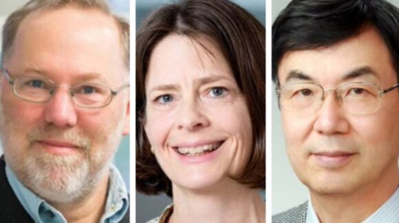 FOXP3 y células T; el hallazgo que transformó la inmunología y ganó el Nobel de Medicina 2025