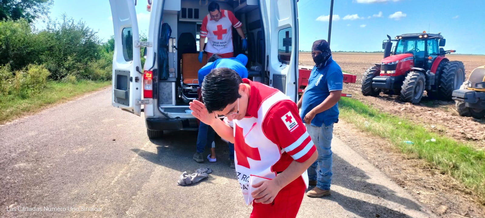 Mujer es atacada por enjambre de abejas en la sindicatura de Tamazula, Guasave, Sinaloa