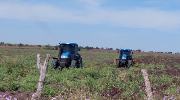 Por primera vez en la historia se otorgarán permisos de siembra a productores temporaleros del Évora y de todo Sinaloa