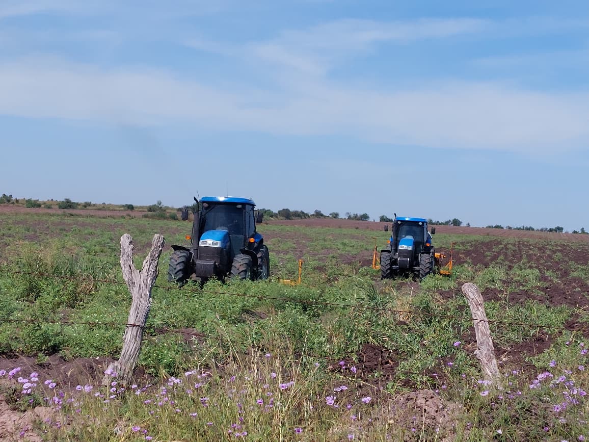 Productores de temporal en Sinaloa
