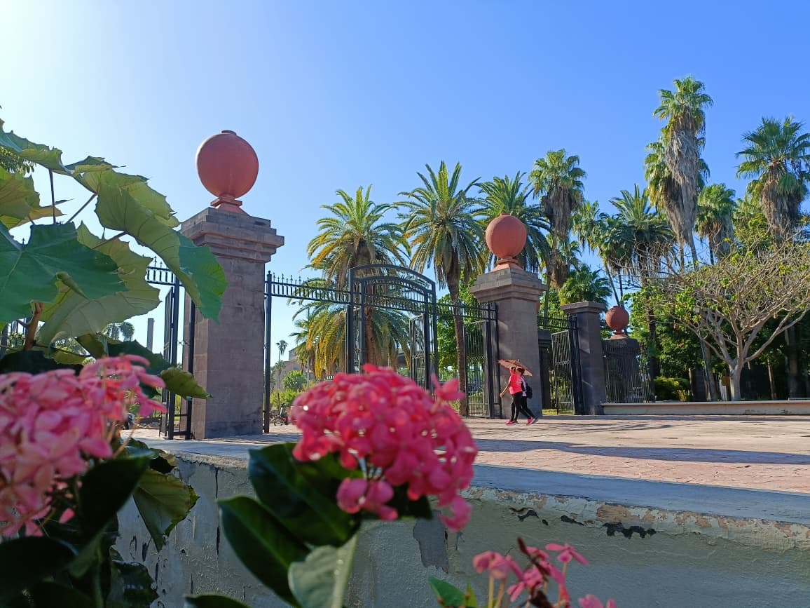 Tras lluvias reabre el Jardin Botánico en Los Mochis