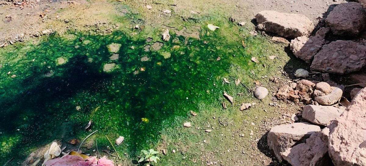Vecinos del ejido Primero de Mayo, Ahome, reclaman ayuda por drenaje colapsado