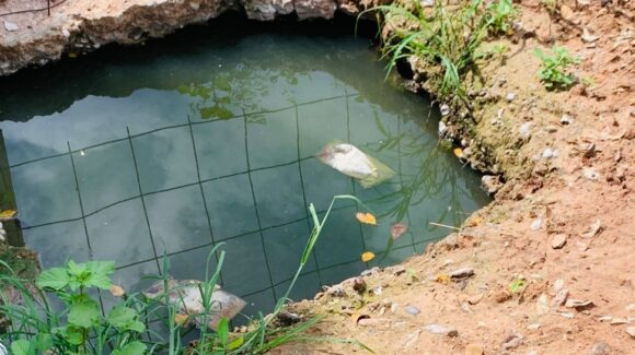 Vecinos del ejido Primero de Mayo, Ahome, Sinaloa, claman ayuda por drenaje colapsado y humedad en sus hogares