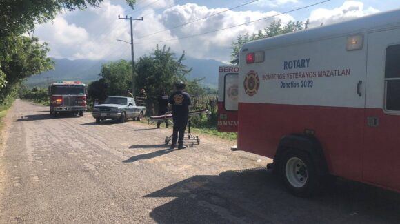 Hombre es atacado por abejas en El Bajío, Mazatlán, Sinaloa; fue trasladado a un hospital