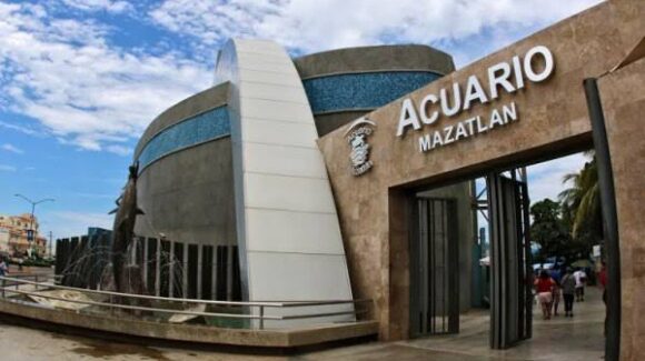 “No hay propuesta de condonación”, aclara Gran Acuario ante adeudo de 46 mdp al Gobierno de Mazatlán, Sinaloa