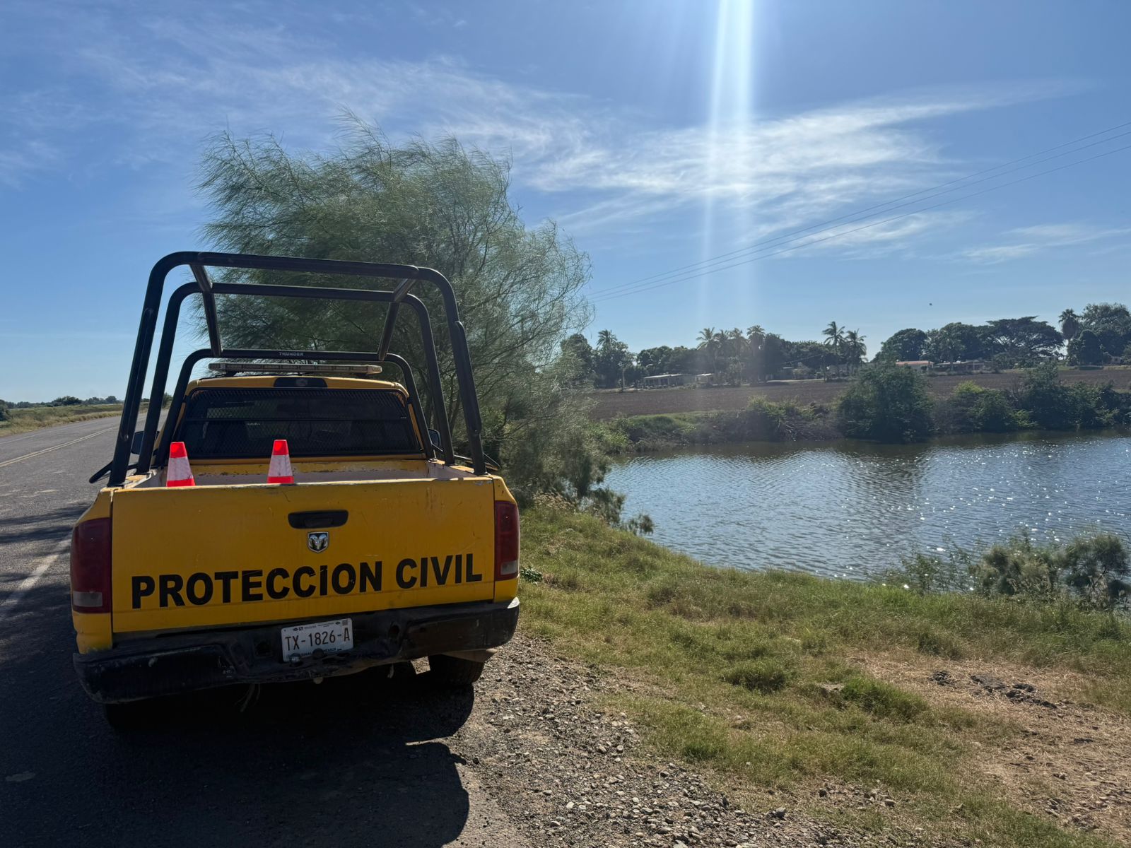 Alerta de cocodrilo en La Laguna, en Guasave
