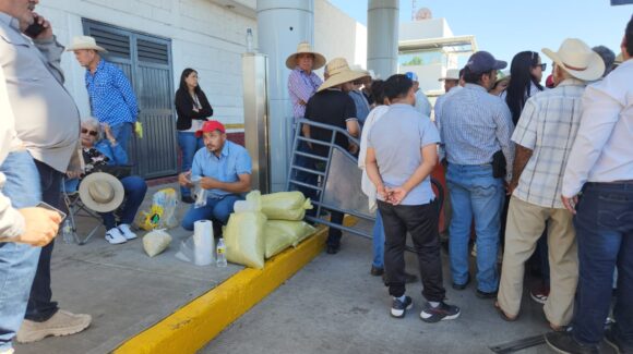 “No hay de otra”: productores aprovechan movilización para rematar frijol, en Guasave, Sinaloa