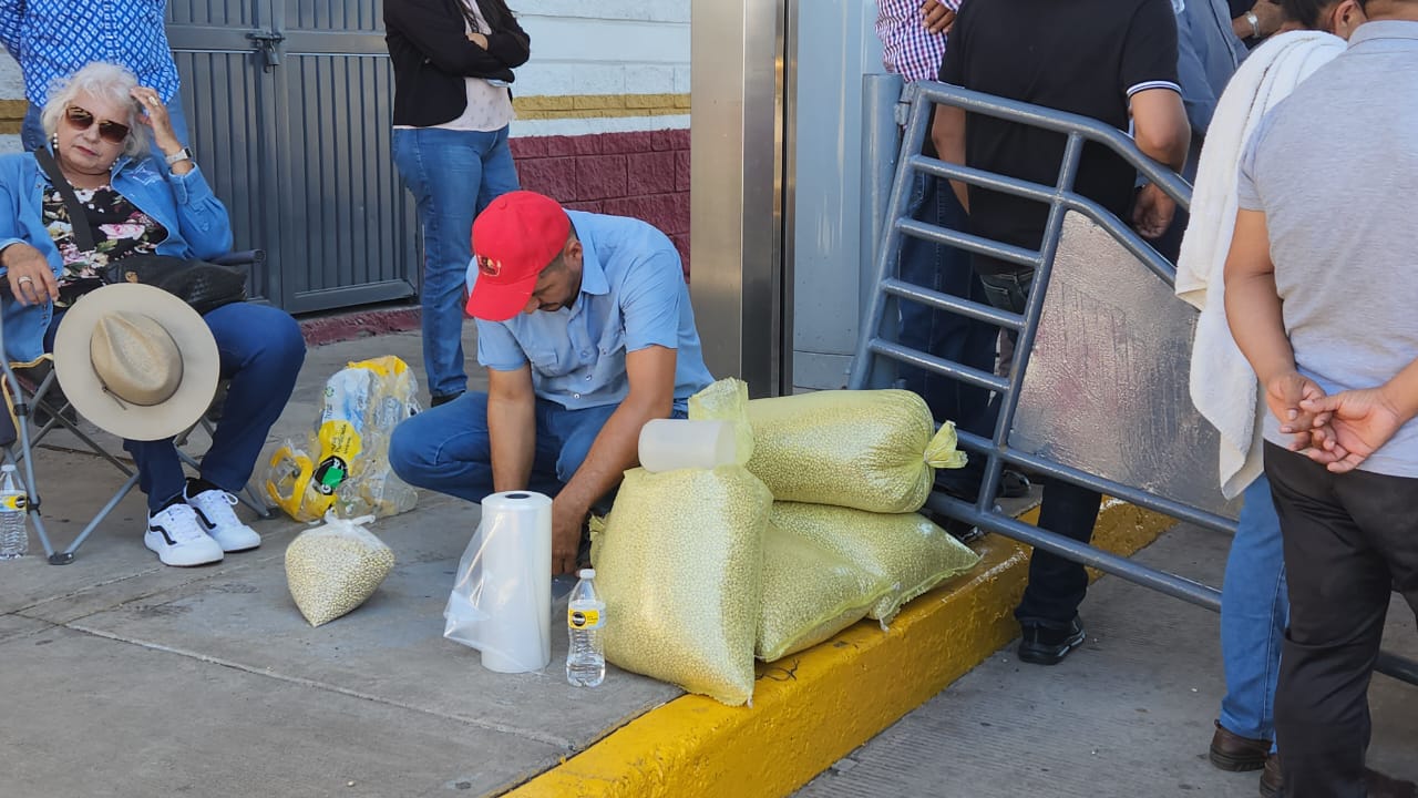 agricultores de guasave rematan el kilo de frijol