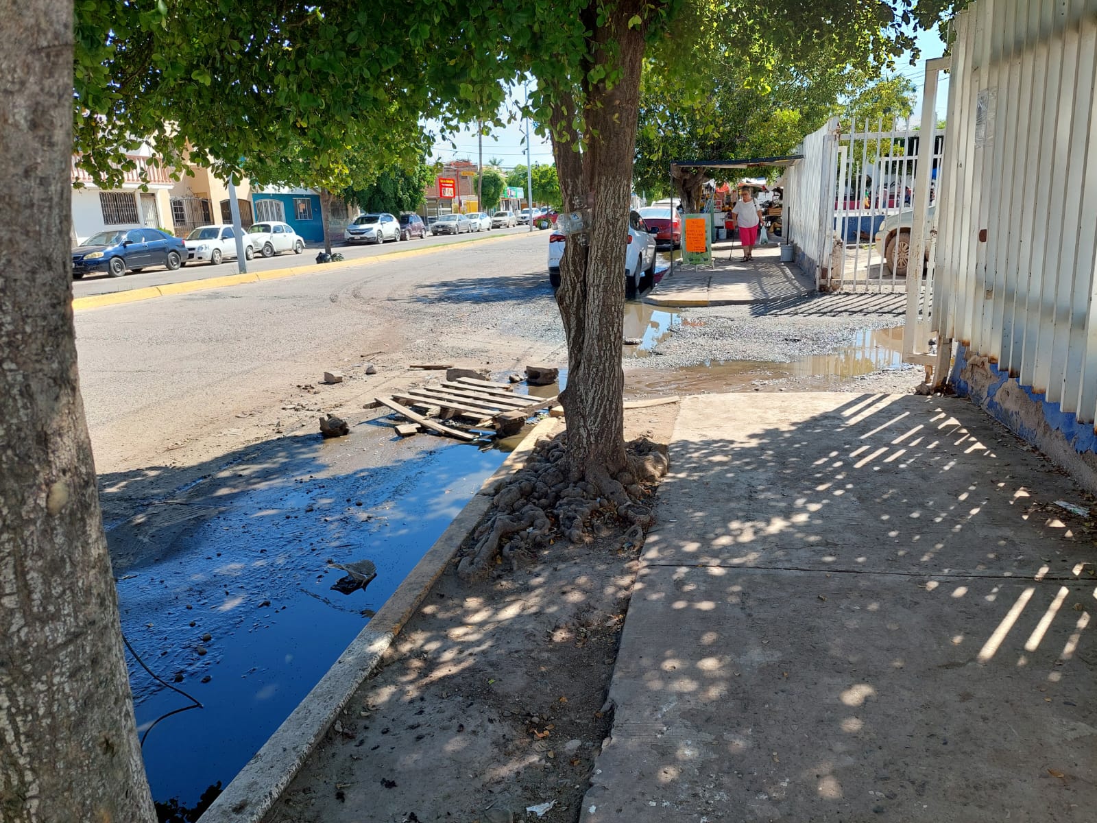 encharcamiento de aguas negras en calles de Los Mochis