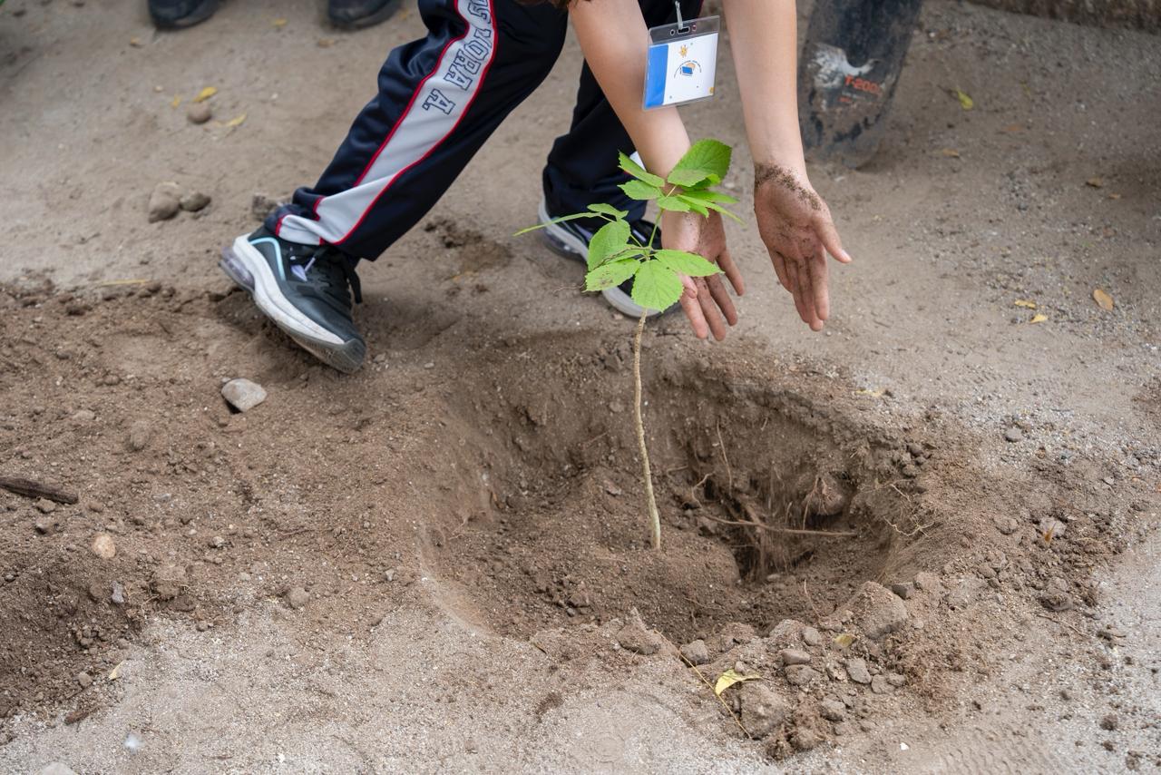 Alumnos de educación básica vive El Viaje Botánico, en Culiacán