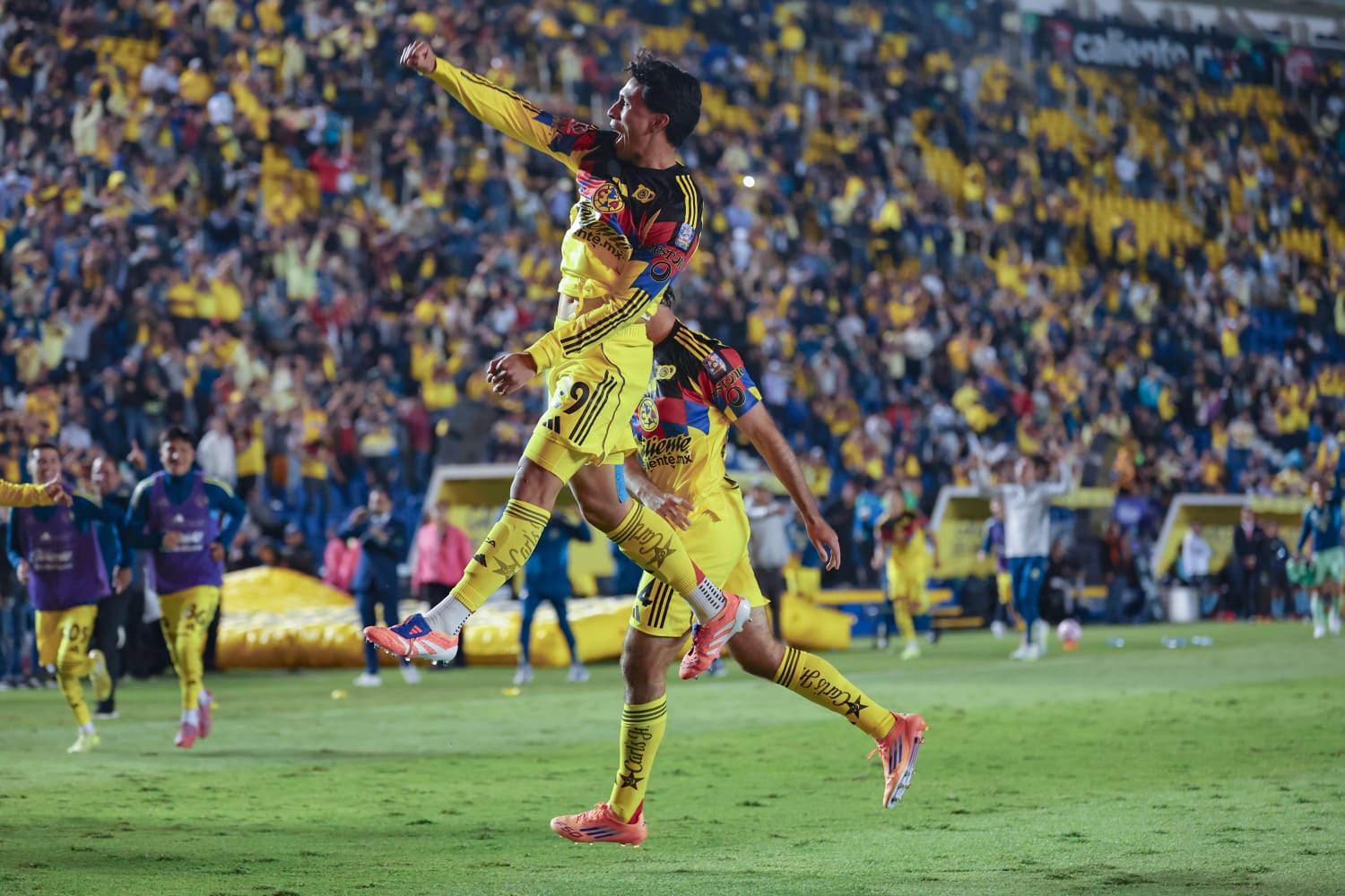 América