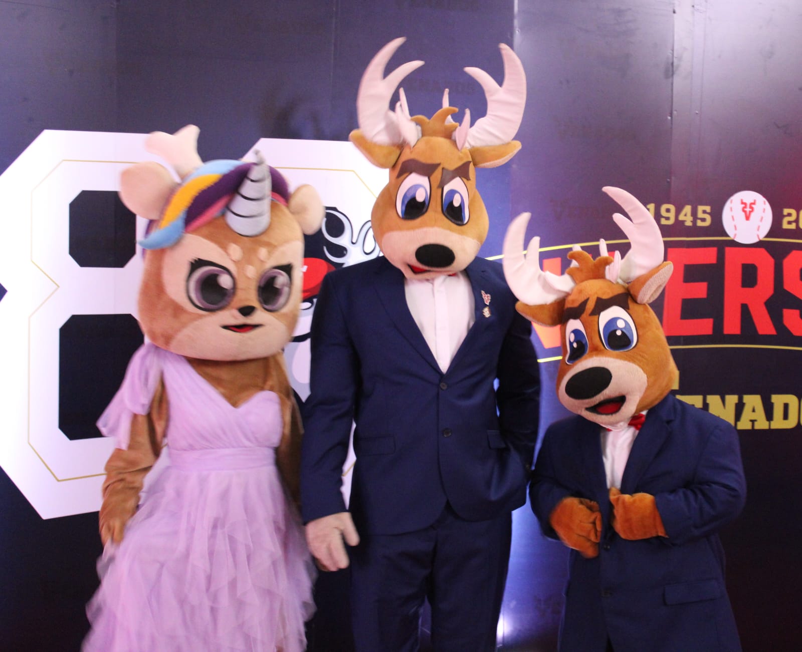 aniversario de venados de mazatlan mascotas
