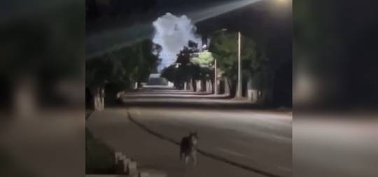 Con drones lanzan explosivos en la sindicatura de Tepuche en Culiacán, Sinaloa
