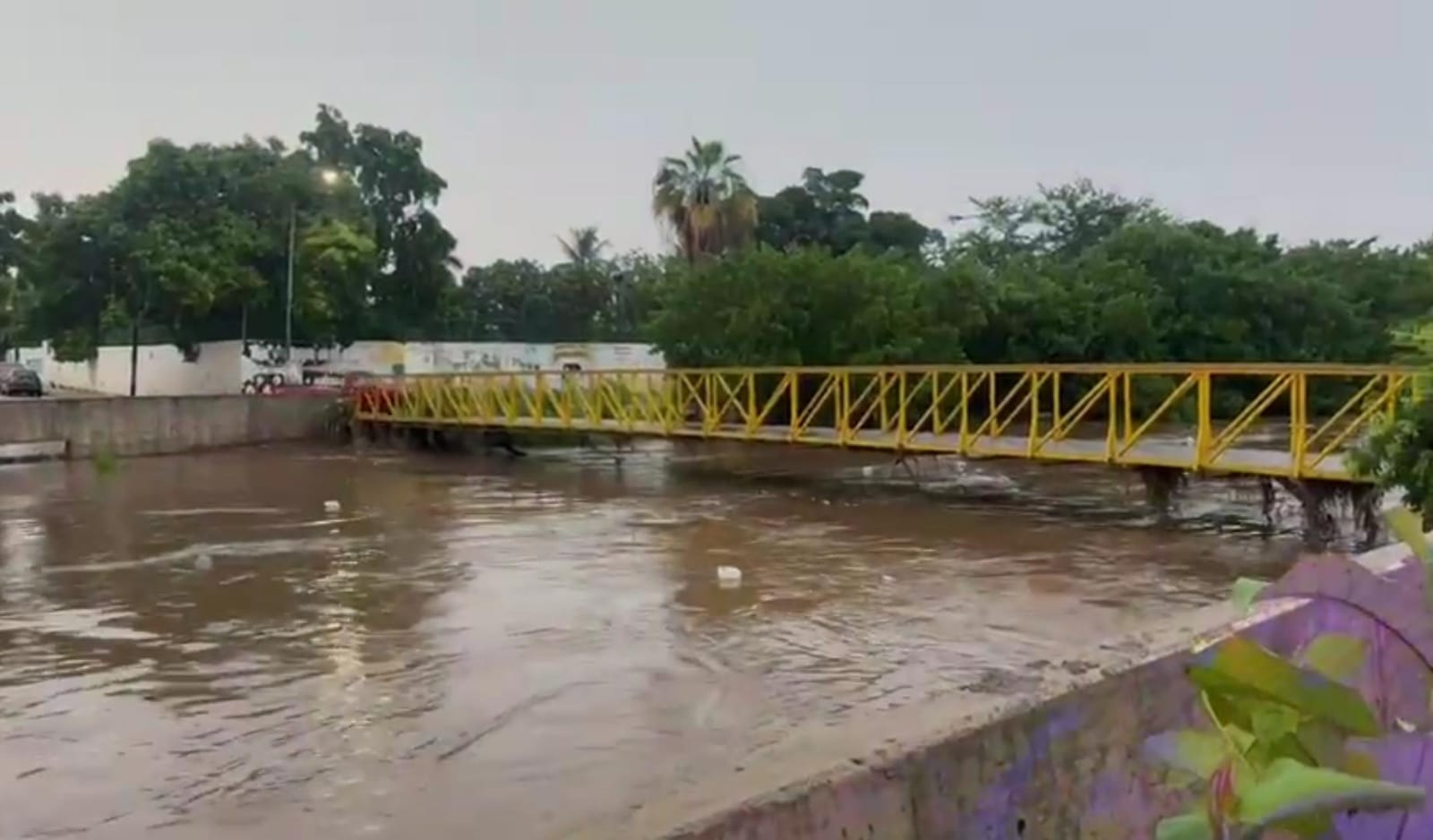 arroyo jabalines en mazatlan