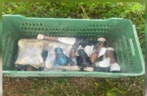 artefactos explosivos improvisados asegurados en concordia y mazatlan sin