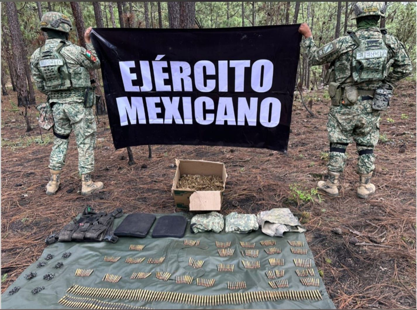 Aseguran mariguana y cargadores en poblado de Concordia, Sinaloa