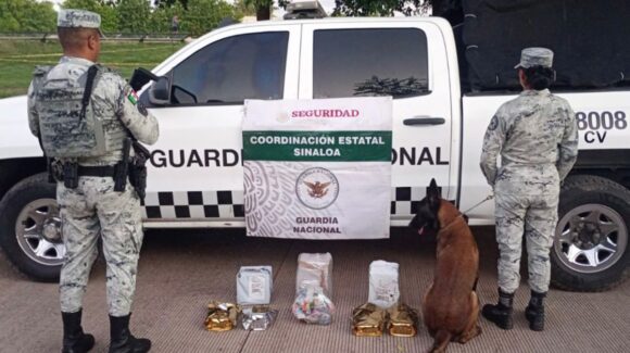 ¡En un negocio de paquetería! Decomisan droga y vapeadores en la colonia Las Vegas, en Culiacán, Sinaloa