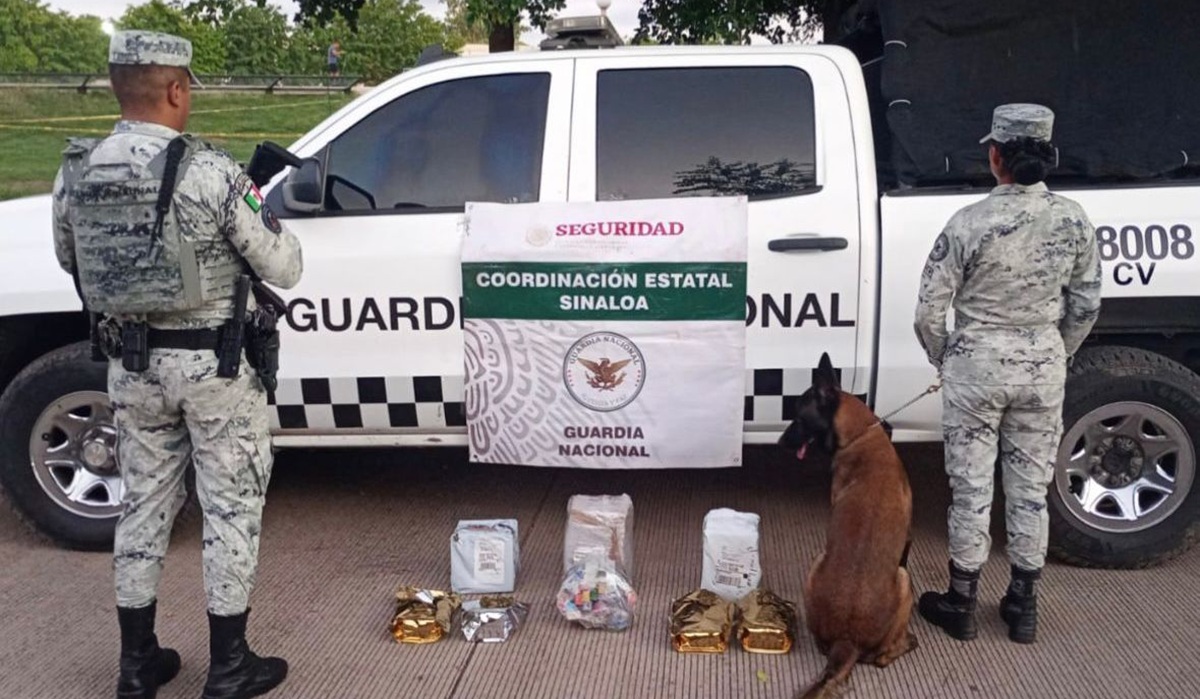 Aseguran mariguana y vapeadores en paquetería de Culiacán, Sinaloa