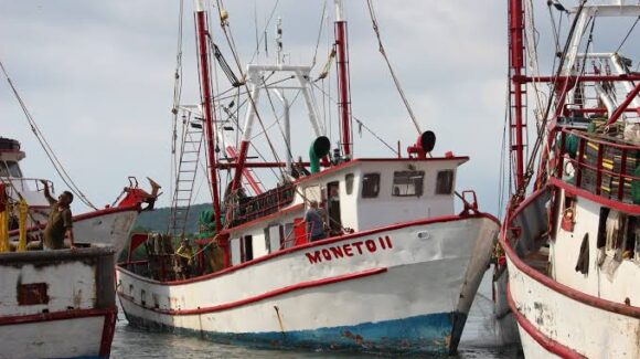 Por el huracán Priscila, 65 barcos han regresado a puerto a refugiarse: Capitanía de Puerto en Mazatlán, Sinaloa
