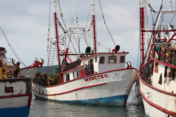 barcos camaroneros