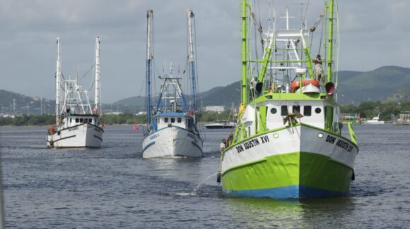 Armadores lanzan S.O.S. desde Mazatlán, Sinaloa; piden apoyo federal para retirar embarcaciones ante crisis camaronera