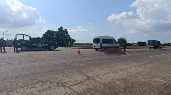 Dos vehículos embisten y matan a un caballo en la carretera internacional México 15, en Guasave, Sinaloa