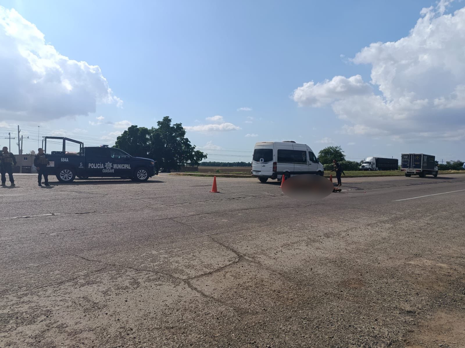 Caballo arrollado en Guasave, Sinaloa