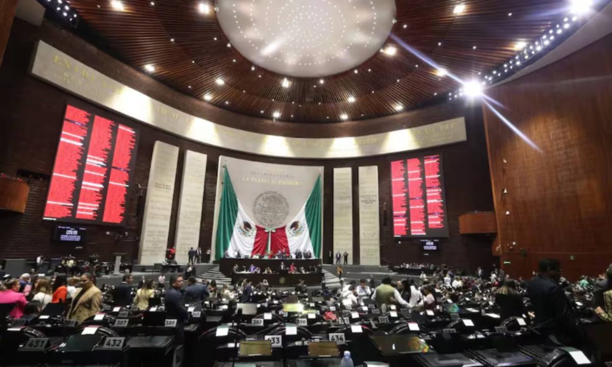 cámara de diputados