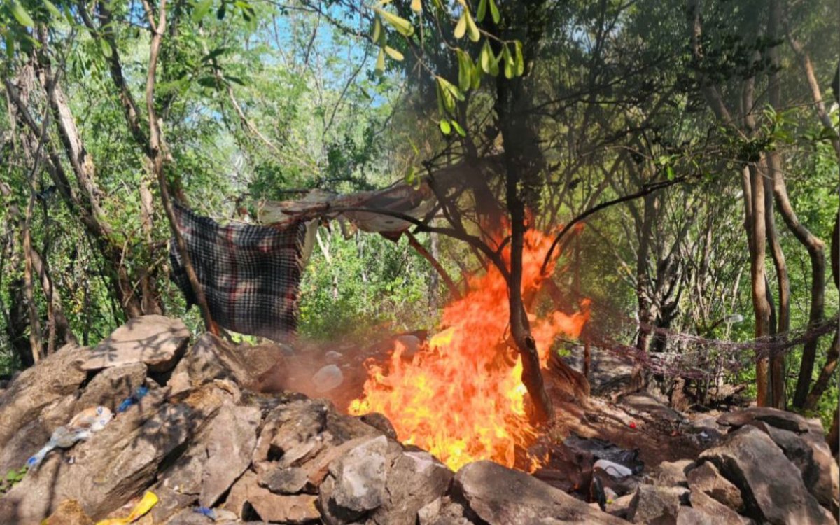 Ejército Mexicano localizaron y destruyeron un campamento clandestino en la sindicatura de Tepuche, en Culiacán