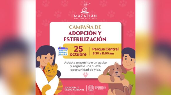 Un total de 13 perros y 3 gatos tendrá la novena campaña de “Huellitas del Bienestar” en Mazatlán, Sinaloa