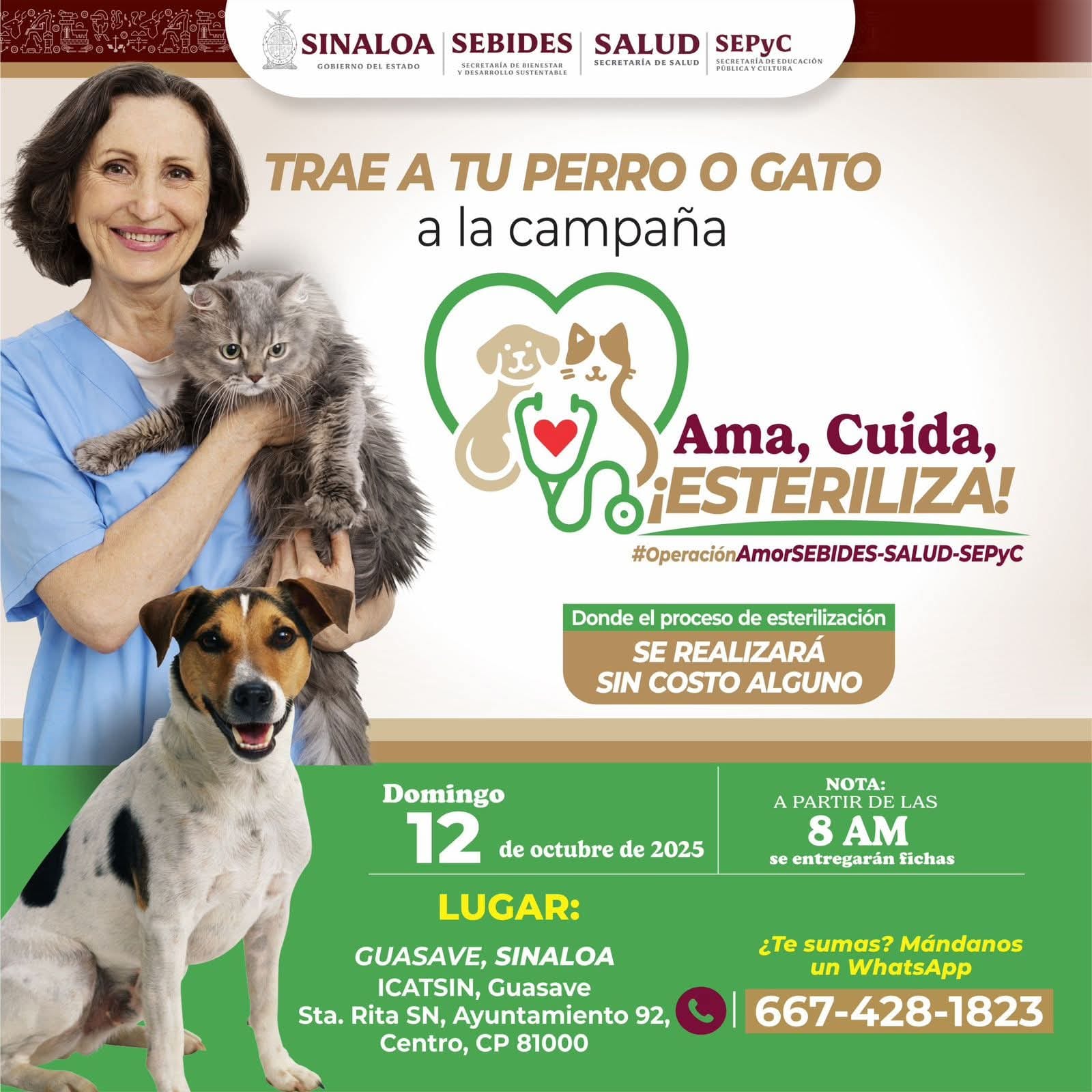 Campaña de esterilización en Guasave