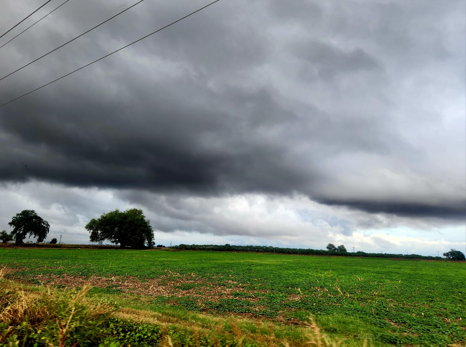 Campo lluvioso