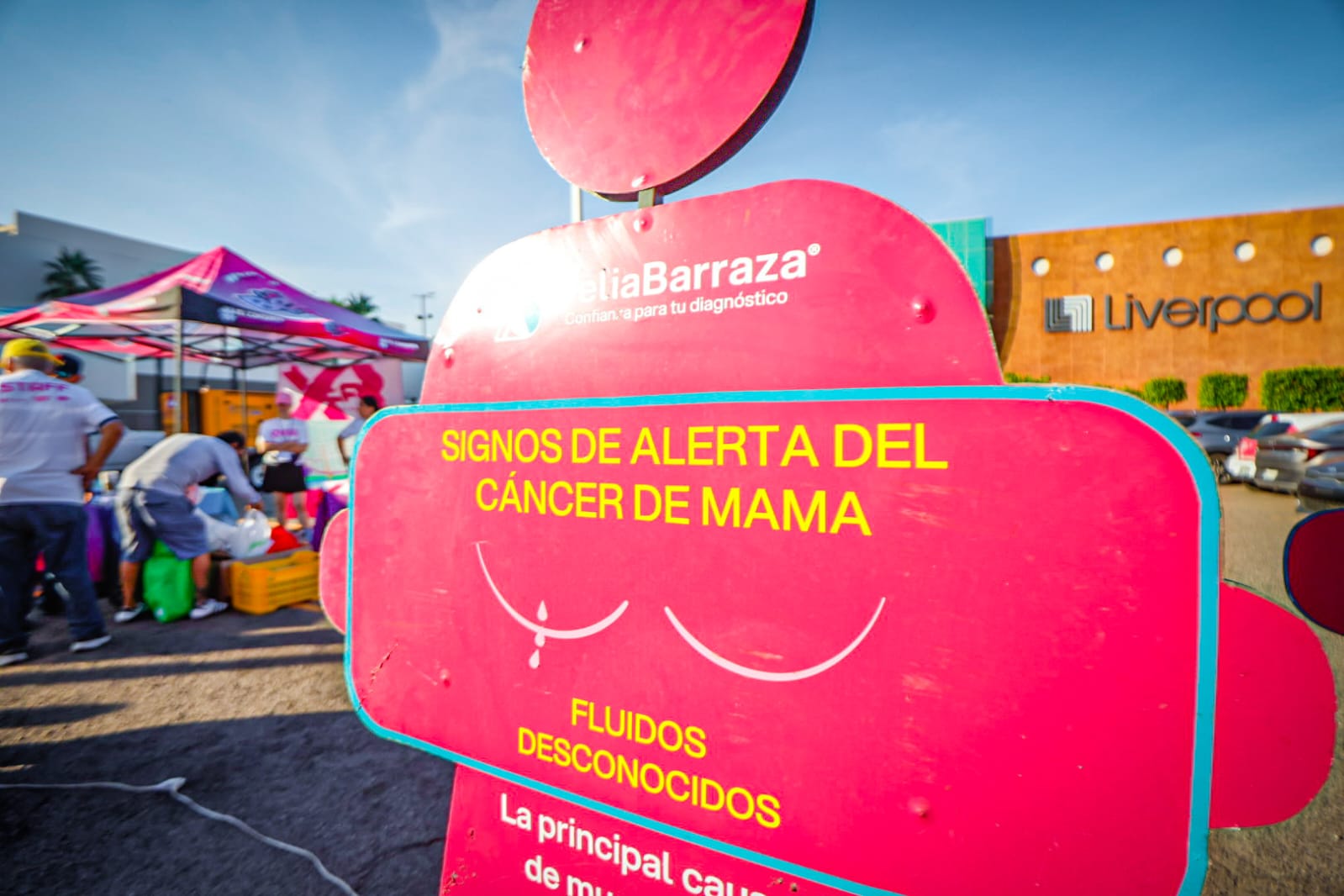 Carrera Rosa Delia Barraza 2025