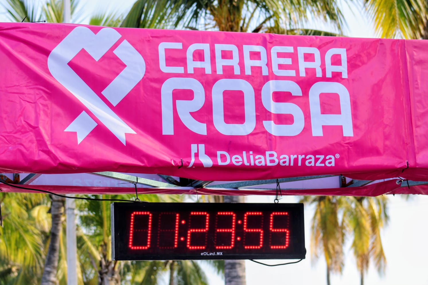 Carrera Rosa 2025 en Mazatlán, Sinaloa