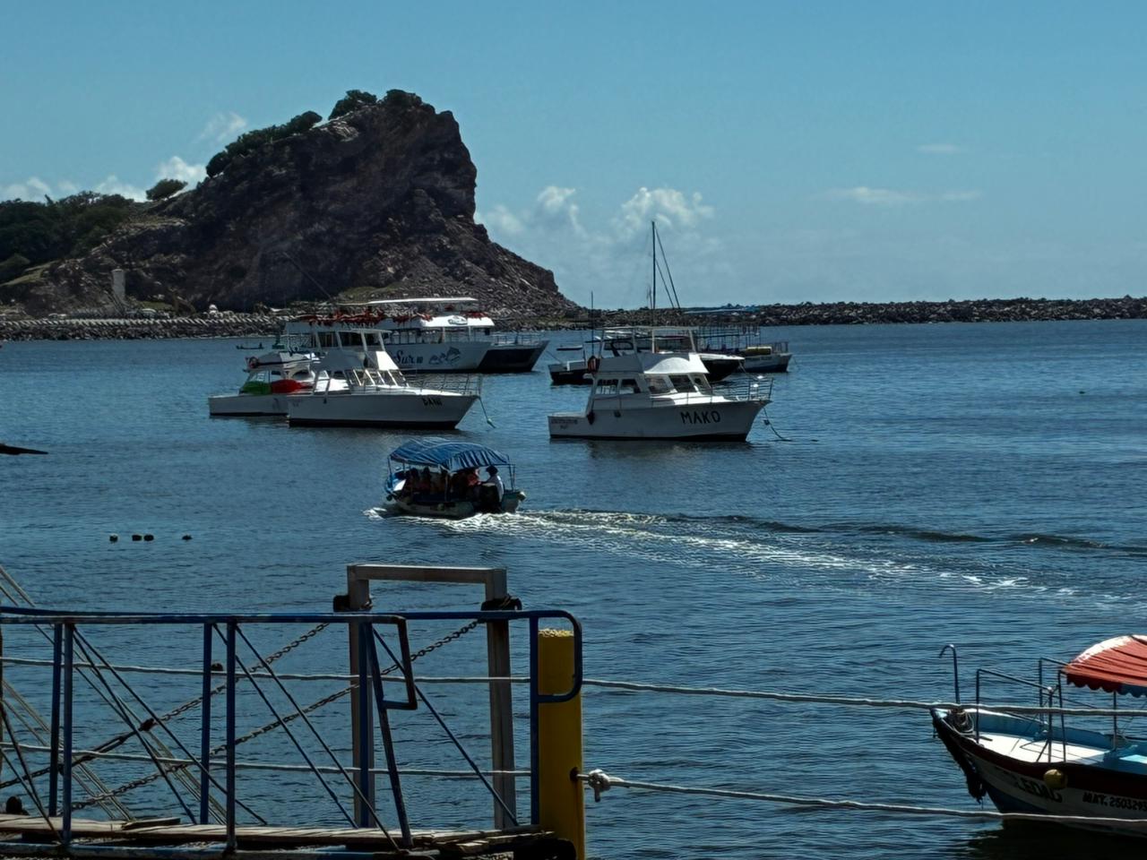 catamaranes