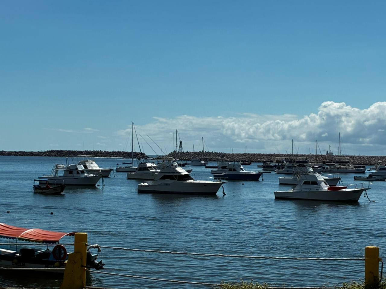 catamaranes