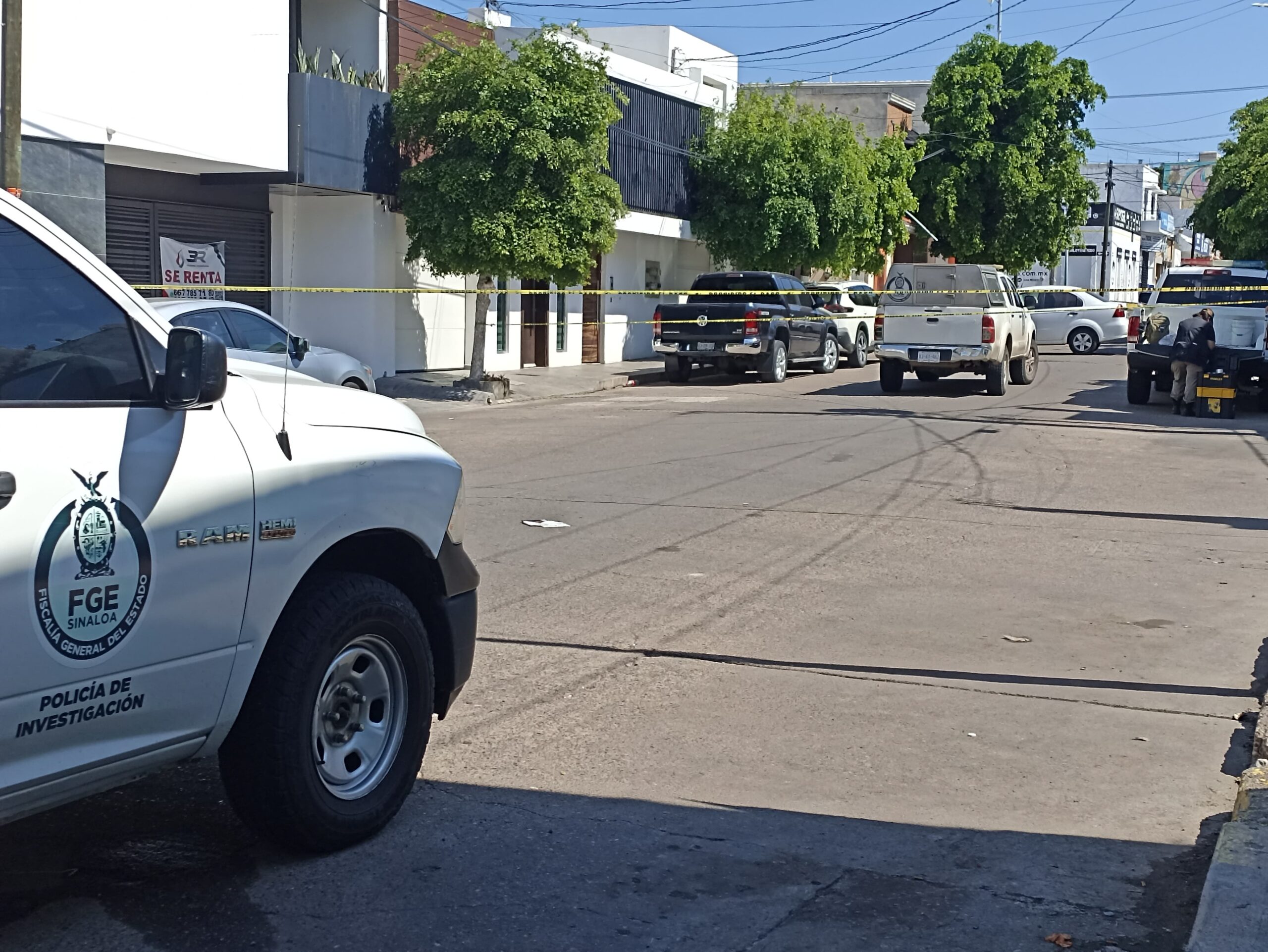 cateo en pleno centro de culiacan