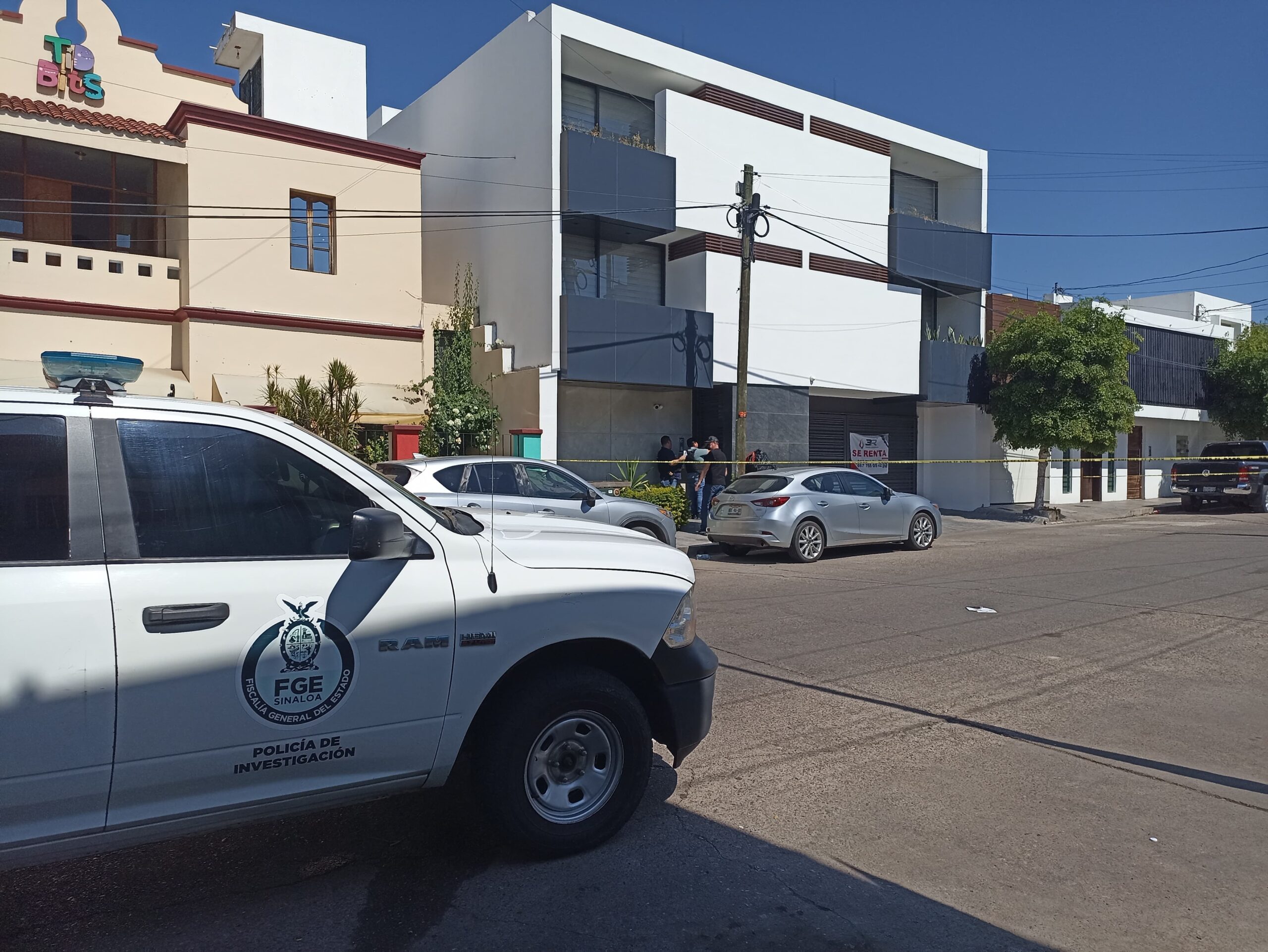 cateo en pleno centro de culiacan